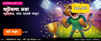 Best Football Betting Experience